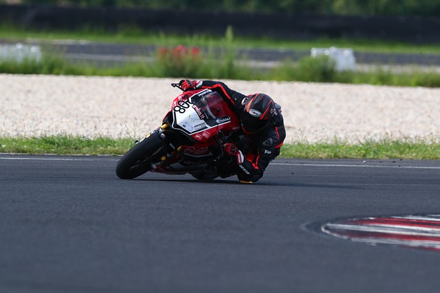 他们竞争力 他们竞争力