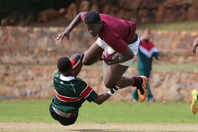 吸引力的品 吸引力的品